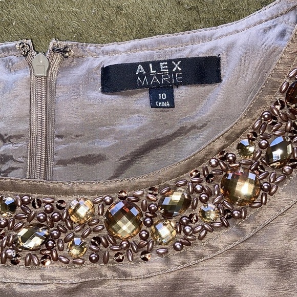 ALEX MARIE Silk & Linen Tailored Sheath Dress Copper Brown Beaded Neckline Sz 10 - Picture 9 of 11